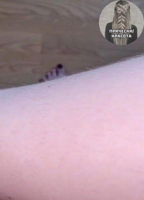 Чтобы волосы на ногах не брить, их можно осветлить. 04