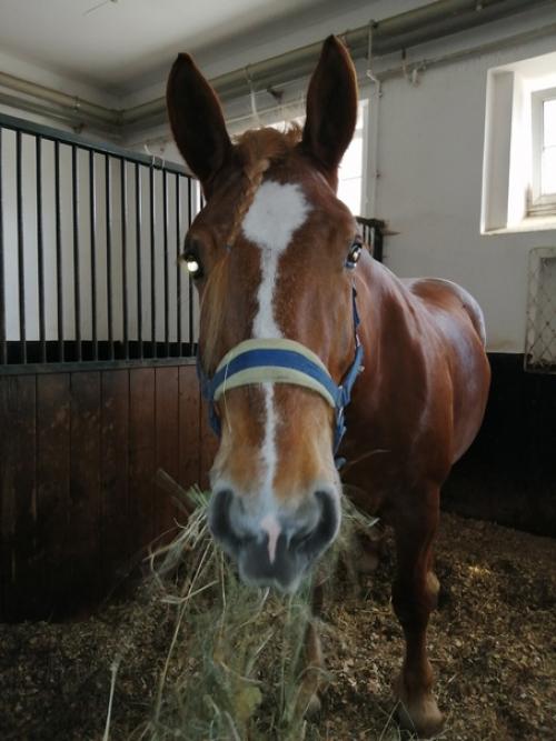Как всё сложно в женско - человечьем мире устроено. 01