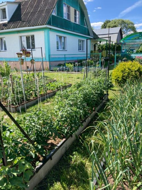 А нужны ли домики? 05