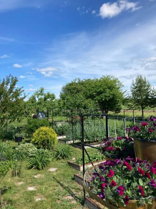 А нужны ли домики? 01