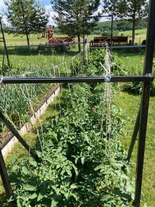 А нужны ли домики? 02