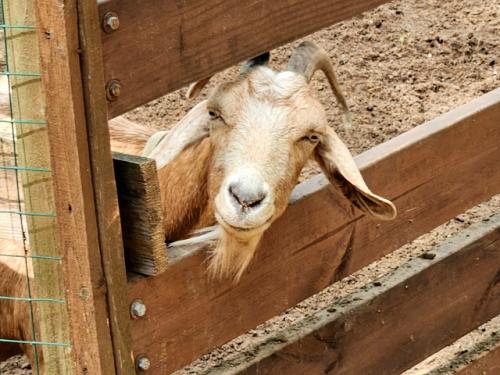 Как мне нравится всё необычное, уникальное. 01