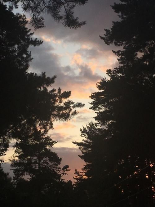 Вот и прошли три недели лета 2018. 01 Вот и прошли три недели лета 2018. 01