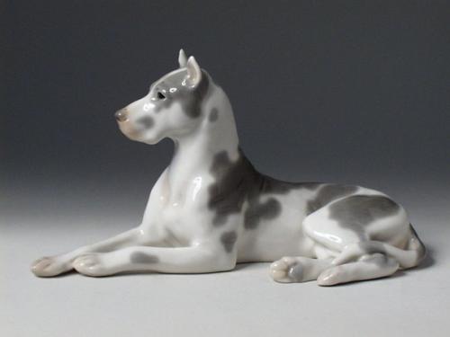 Популярные породы собак. 05