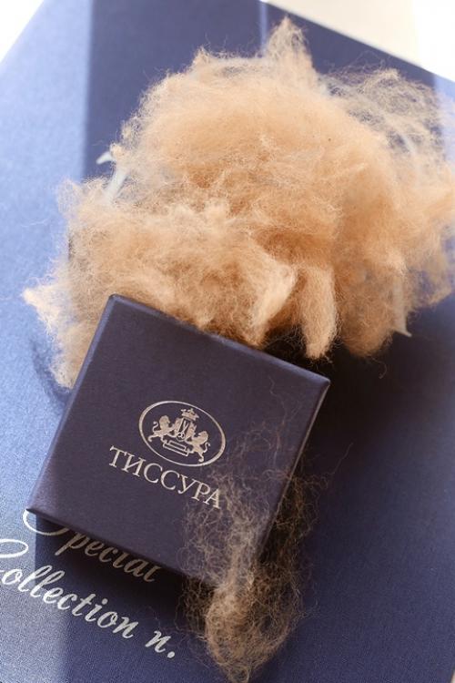 Вы, конечно, помните ириску из парка Пача Мама в Сочи - обаятельную альпаку, которую опекает тиссура. 01