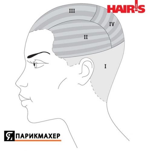 Схема@Balayage. Окрашивание Estel Professional. 06 Схема@Balayage. Окрашивание Estel Professional. 06