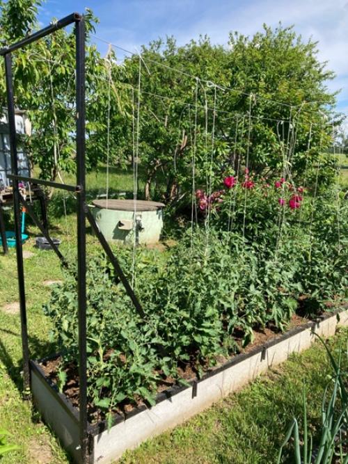 А нужны ли домики? 04