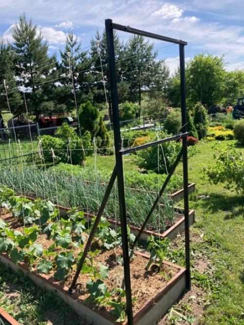 А нужны ли домики? 03