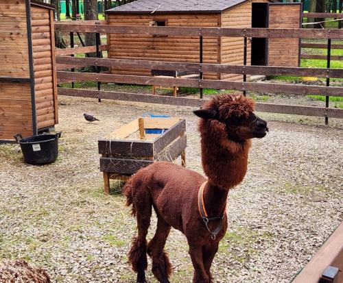 Как мне нравится всё необычное, уникальное. 02