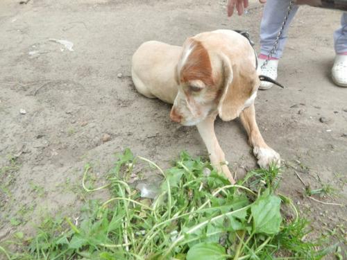 Всем спасибо за помощь для бони. 01