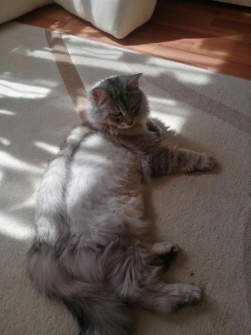 Знакомьтесь, это пермяк. 02 Знакомьтесь, это пермяк. 02