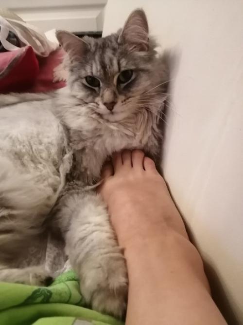 Знакомьтесь, это пермяк. 01 Знакомьтесь, это пермяк. 01