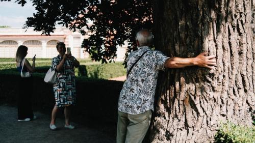 На что я обращаю внимание в стрит фото: 09
