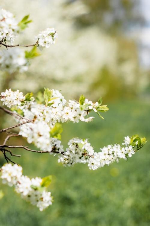 Чебоксары. Еду до конца своего оффициального отпуска в Чебоксары/ в район. 04