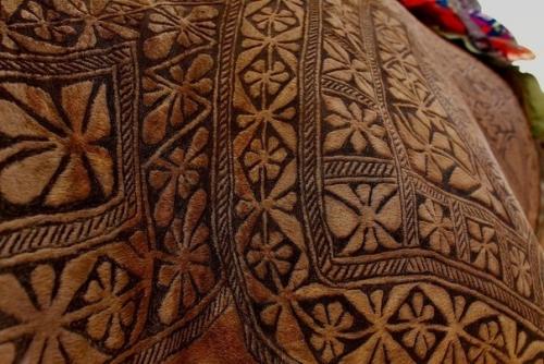 Стрижка верблюда как искусство. 01