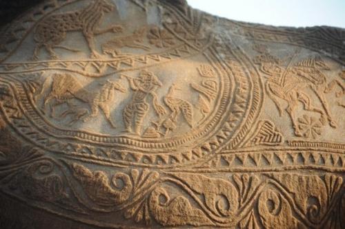 Стрижка верблюда как искусство. 02