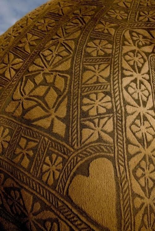 Стрижка верблюда как искусство. 06