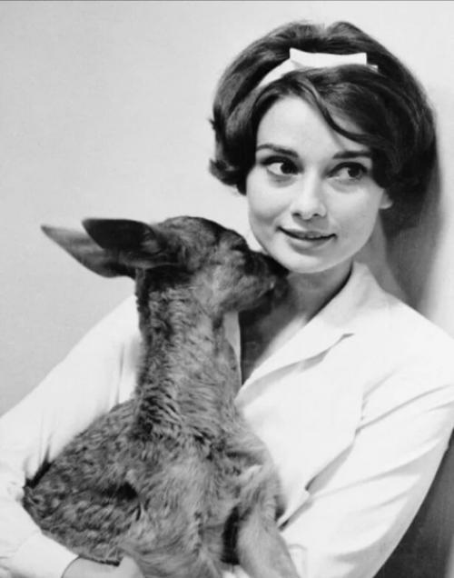 Героиня книги Ключ (первая часть цикла кромешники и люди, каждая книга - законченная история). 04