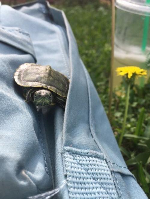 Фотоплан на АВГУСТ?  Kosmos_Tips? 01