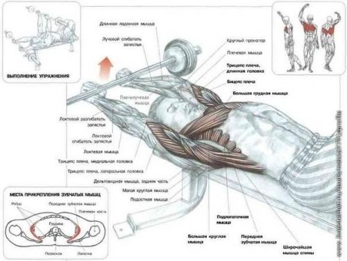 Основы для новичков или тех, кто вдруг не знает. 02 Основы для новичков или тех, кто вдруг не знает. 02