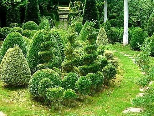 Семь модных идей для дачного сада. 05 Семь модных идей для дачного сада. 05