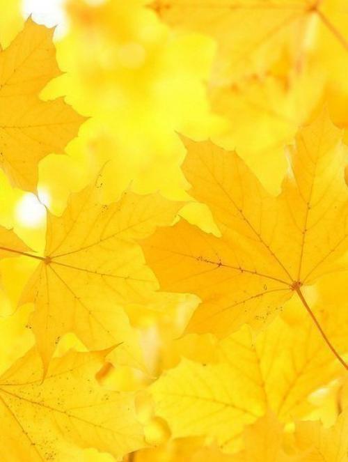 Я сегодня хочу пожелать -. 02