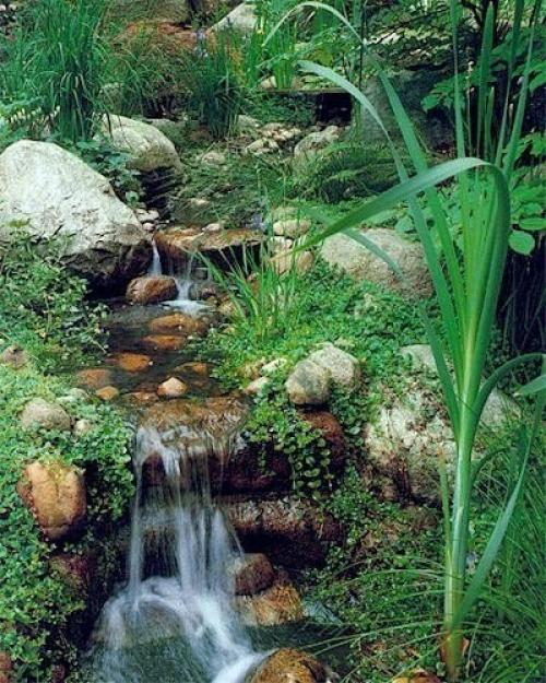 Семь модных идей для дачного сада. 01 Семь модных идей для дачного сада. 01