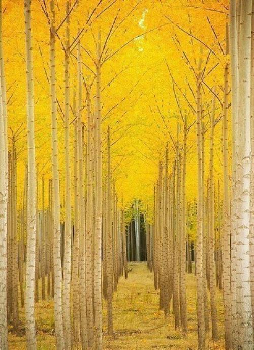 Я сегодня хочу пожелать -. 03