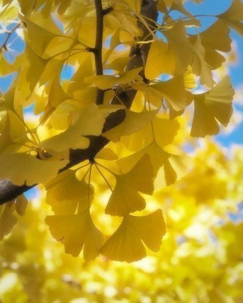 Я сегодня хочу пожелать -. 05