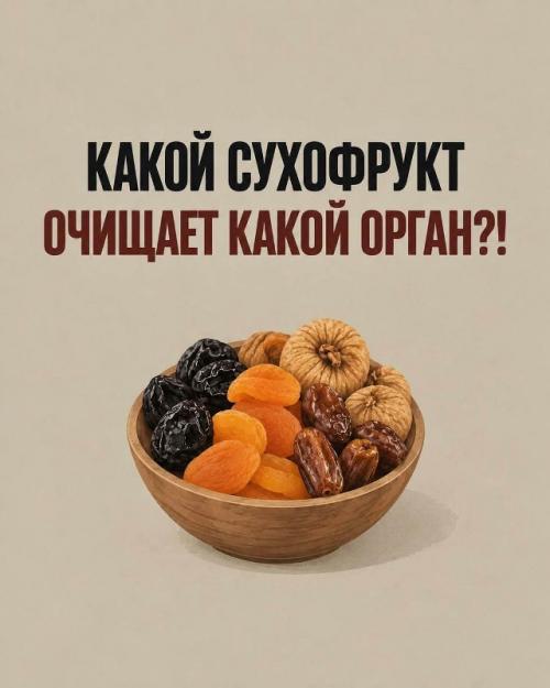 Сухофрукты - простой способ сделать рацион разнообразнее и добавить в него больше питательных веществ.
