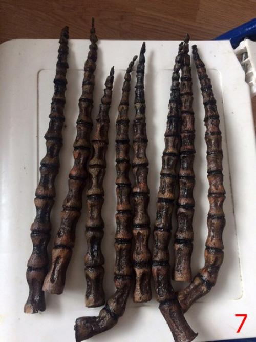 Вот я и дошла до пошаговой инструкции, как сделать прическу керриган из Starcraft: Brood war. 06 Вот я и дошла до пошаговой инструкции, как сделать прическу керриган из Starcraft: Brood war. 06