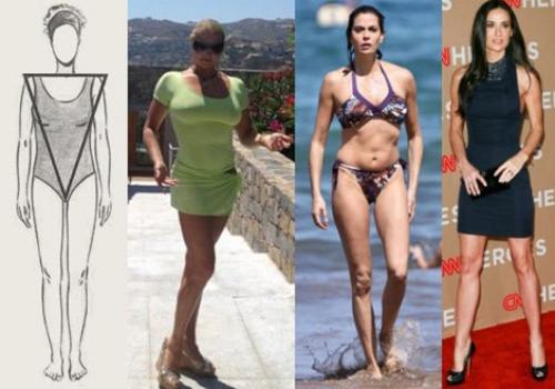 Типы женского телосложения для построения тренировочной фитнес программы и правильного питания. 01 Типы женского телосложения для построения тренировочной фитнес программы и правильного питания. 01