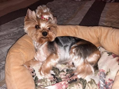 Снова традиционные фото - встречи с милыми черривинсиками первые в 2022 году. 07