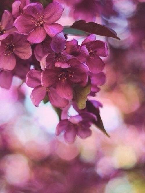 Думай о том, что может сделать тебя счастливым. 01