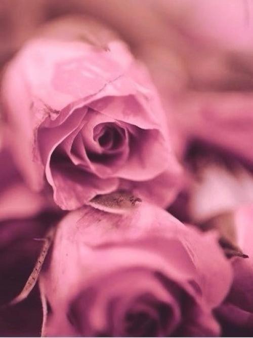 Думай о том, что может сделать тебя счастливым. 03