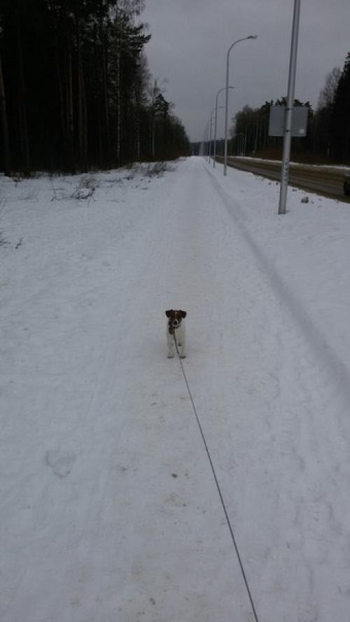 День потрачен впустую, потому что за весь день я, ровным счетом, ничего не сделала. 02 День потрачен впустую, потому что за весь день я, ровным счетом, ничего не сделала. 02