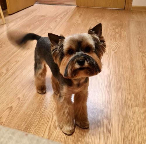 Снова традиционные фото - встречи с милыми черривинсиками первые в 2022 году. 03