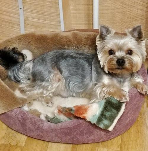 Снова традиционные фото - встречи с милыми черривинсиками первые в 2022 году. 06