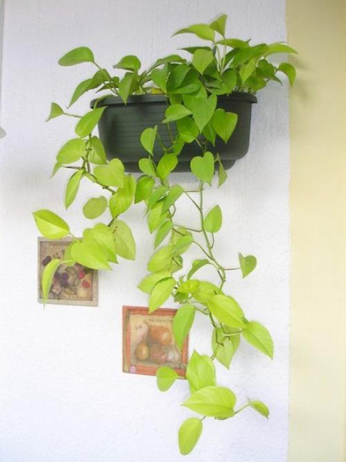 Самые стойкие спартанцы -. 08