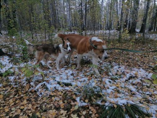 Кейтвесточки_издома.  Синергия на стуле ровно сидит! 06