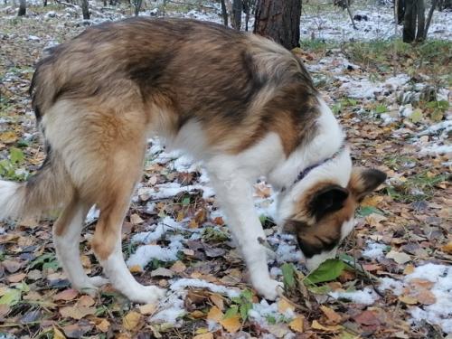 Кейтвесточки_издома.  Синергия на стуле ровно сидит! 07