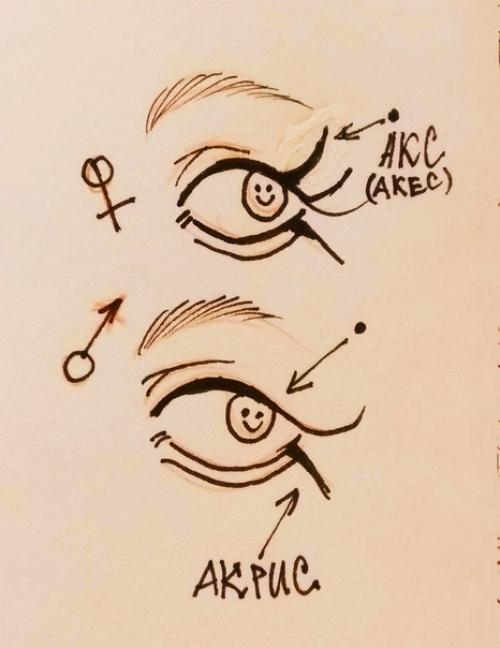 В том случае, если кто-то думал, что волосы лидарго это мой максимум, то у меня для вас плохие новости в этом фендоме. 04