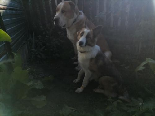 Кейтвесточки_издома.  Синергия на стуле ровно сидит! 08