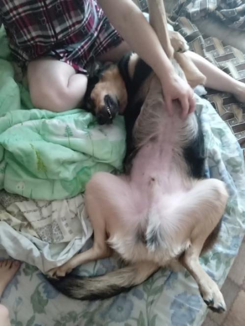 Кейтвесточки_издома.  Синергия на стуле ровно сидит! 04