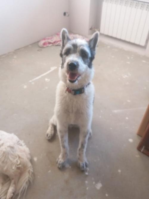 Кейтвесточки_издома.  Синергия на стуле ровно сидит! 02