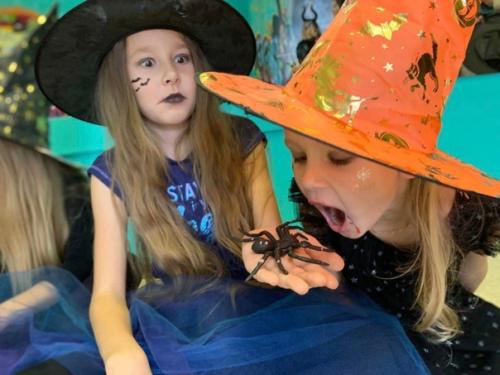 Каждый год, на хеллоуин, мы стараемся порадовать своих ребят по-особенному) дети очень любят этот праздник и с удовольствием на него идут. 07