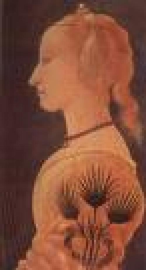 Паке Д. средневековая нимфетка. 04