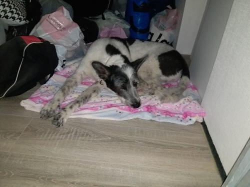 Кейтвесточки_издома.  Синергия на стуле ровно сидит! 01