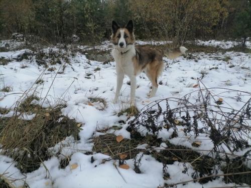 Кейтвесточки_издома.  Синергия на стуле ровно сидит! 05