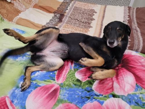 Кейтвесточки_издома.  Синергия на стуле ровно сидит! 09